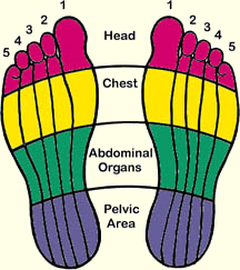 reflexology foot chart