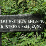stressfree zone
